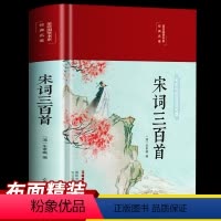 [正版]宋词三百首全集宋词鉴赏辞典赏析全解原文译文注释中国古诗词中国诗词大会 带你鉴赏诗词之美国学经典名著