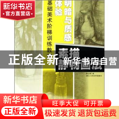 正版 体验明暗与质感/素描静物画法 陈志明著 浙江人民美术出版社