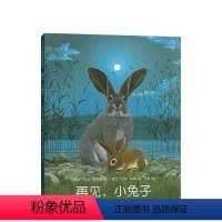 再见%2C小兔子 [正版]再见,小兔子 3-6-7-10岁 分级阅读书目 国际安徒生奖+德国青少年文学奖获奖者作品 积极