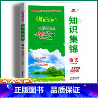 3本]语文+数学+英语知识集锦 小学通用 [正版]2025新版 培优宝典 知识集锦语文升级版小学一1二2三3四4五5六6
