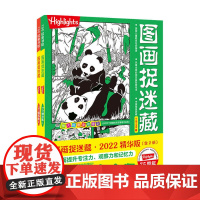 图画捉迷藏2022精华版 全2册 3-6岁 美国童光萃集出版社 著 益智游戏