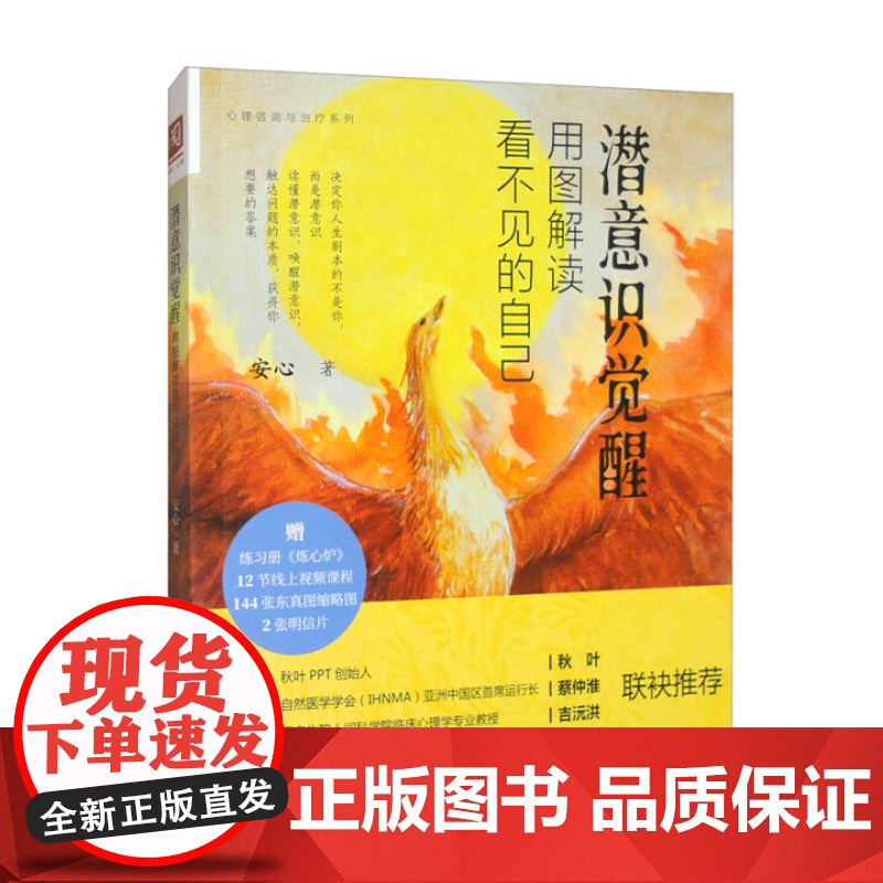 潜意识觉醒 用图解读看不见的自己 安心 中国人民大学出版社 9787300332444