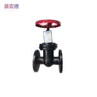 晟宏德 铸铁闸阀 法兰 DN50 个