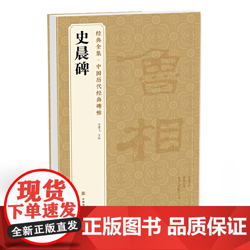 史晨碑 中国历代经典碑帖 书法行书字帖真迹原大临摹正楷书籍练字入门集字学生 杨建飞主编