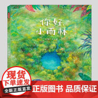 你好小雨林(正版硬壳精装)刘杉峰,寻找自我主题儿童绘本3三-4-5到6岁以上幼儿园大中小班宝宝孩子早教阅读睡前启蒙故事图