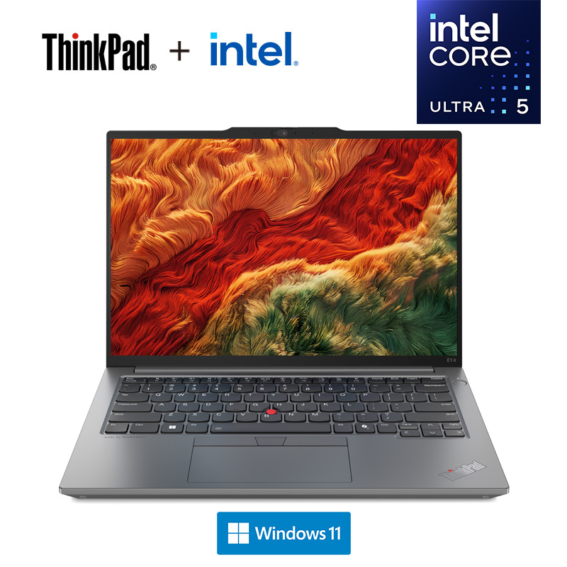 ThinkPad E14 19CD AI经典商务本 14英寸笔记本电脑 定制 英特尔酷睿Ultra 5 125H 32G 2T固态 锐炫Arc显卡 2.2K高色域 银