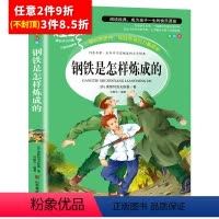 [任意3件8.5折]钢铁是怎样炼成的 [正版]水孩子书原著小学生三年级四年级五六年级阅读书籍山东美术出版社课程化阅读名著