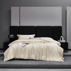 梦洁家纺 60天丝提花纤维蚕丝复合四季被:银海生花