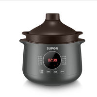 苏泊尔SUPOR 4L微电脑单胆电炖锅DG40YC36隔水炖轻奢设计适合3-5人家庭使用
