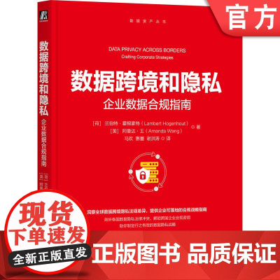 正版 数据跨境和隐私:企业数据合规指南 兰伯特·霍根豪特 数据跨境合规 全球隐私法规 GDPR 企业数据战略 技术风