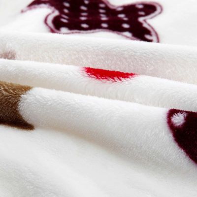 SleepyBear包边款珊瑚绒毯子单双人床单件毛毯加厚床单四季盖学生午睡盖毯