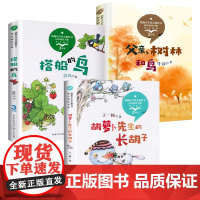全套3本三年级上册课外书必读老师小学生课外阅读书籍 胡萝卜先生的长胡子搭船的鸟父亲树林和鸟 适合3年级看的儿童故事书读物