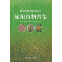 音像榆植图鉴(精)/榆动植资源丛书刘忠华//柳培华//徐瑞瑞