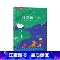 神奇仿生学 [正版]神奇仿生学 揭秘人类如何从自然中汲取灵感3-6-9岁幼儿儿童早教启蒙认知绘本图画书仿生学自然科学趣味
