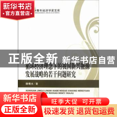 正版 循环经济理论下的我国新兴能源发展战略的若干问题研究 魏曙