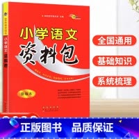 语文 小学通用 [正版]2023小学语文资料包版本基础知识大全68所教学图书小学生总复习1一2二3三4四5五6六年级通用