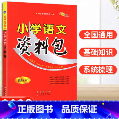 语文 小学通用 [正版]2023小学语文资料包版本基础知识大全68所教学图书小学生总复习1一2二3三4四5五6六年级通用