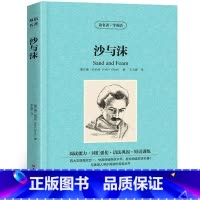 [正版]满件打折沙与沫中英对照版纪伯伦英汉对照中英文双语版经典世界名著外国文学长篇小说英文版原版英语读物初高中生课外阅