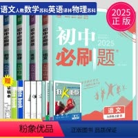 [正版]2025初中九年级语文数学物理上册英语全一册苏科版SK苏教人教版译林版江苏9年级上学期试卷辅导书练习册同步训练
