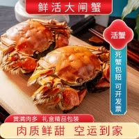 [活蟹]大闸蟹全母3.2两-3.5两 8只中秋礼盒 去绳足重精品活蟹河蟹鲜活苏州直发