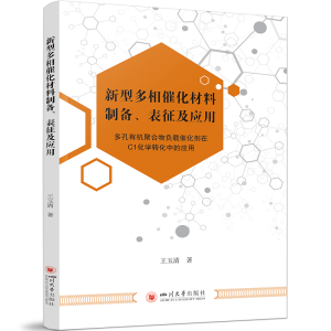 正版新书]新型多相催化材料制备、表征及应用王玉清978756906889