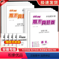 [安徽专版]语文RJ 七年级下 [正版]2023名校课堂期末真题卷初中七年级八年级下册安徽专版语文数学英语物理道德与法治