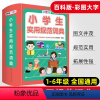 [正版]小学生实用规范词典彩图版精装小学语文词语积累大全一至六年级通用基础知识宝典趣味阅读小学拼音声母韵母拼读全表教辅