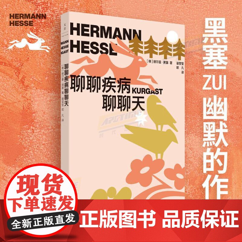 聊聊疾病聊聊天 2024百班千人暑期书目赫尔曼黑塞名著世纪文景文学散文诺贝尔文学奖得主德国散文正版图书籍