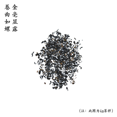 茶叶[伍刻]祁门香螺 花蜜香花果香 2025年传统手工揉搓 100g