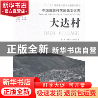 正版 大达村 李闯,杨曦泠,郑文婷著 光明日报出版社 9787511248