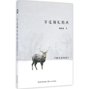 正版新书]穿过锁孔的风:帕瓦龙诗选帕瓦龙9787535484345