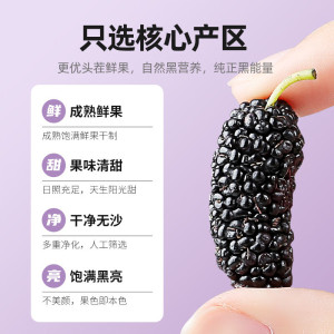 杞里香 紫罐甄选桑葚干 200g