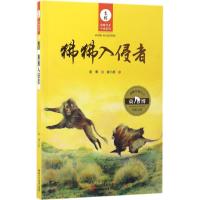 正版新书]狒狒入侵者袁博 著 著作9787533948351
