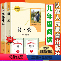 [九年级下]简爱+儒林外史(送考点手册) [正版] 儒林外史和简爱书籍原著 共2册 九年级下册人民教育出版社人教版 格列