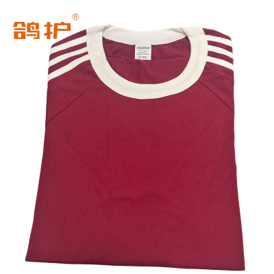鸽护 短袖T恤 sgyl-酒红色 件