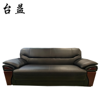 台益 沙发 TY-LGDH3-1 2000*840*900mm 个