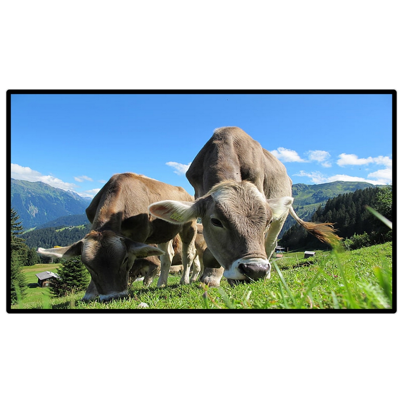 昌裕CY-XF-D6Y15.6安卓系统标配壁挂式广告机