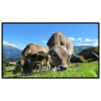 昌裕CY-XF-D6Y15.6安卓系统标配壁挂式广告机