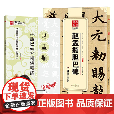 华夏万卷字帖 赵孟頫胆巴碑毛笔书法精讲精楷书练字帖成人初学者原碑帖法帖等级考试教程附视频(2本套)