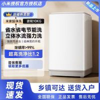 米家小米10KG超净洗波轮洗衣机全自动租房宿舍 大容量不锈钢护衣内桶 深层洁净健康桶自洁XQB100MJ104