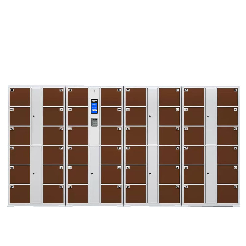 戴劲 电子存包柜商场超市智能物品寄存柜员工衣物储存柜 48门人脸识别