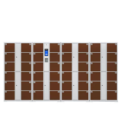 戴劲 电子存包柜商场超市智能物品寄存柜员工衣物储存柜 48门人脸识别