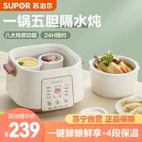 苏泊尔 (SUPOR) 电炖锅隔水电炖锅燕窝隔水电炖盅全自动家用陶瓷BB煲汤锅煮粥2.5L/升 DZ25YC828