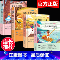 六下必读课外书 4册 [正版]快乐读书吧六年级下册文学经典书目全套4册鲁滨逊漂流记 汤姆索亚历险记 爱丽丝漫游奇境 骑鹅