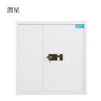 渭星钢制密码文件柜保险柜铁皮资料柜单节白色指纹锁420*900*900