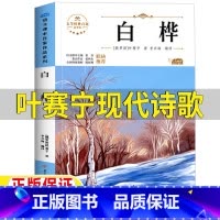 白桦[叶赛宁现代诗] [正版]白桦叶赛宁现代诗歌四年级下册现代诗歌选集人民教育出版社配套阅读北方妇女儿童出版社4四年级下