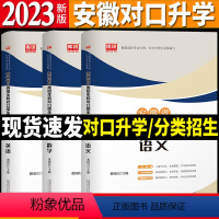 语数英 高中通用 [正版]安徽省2024年分类招生和对口招生考试全真模拟卷全套3本中职生升学中专升大专2022职高扩招单