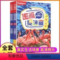 [正版]精华图画捉迷藏实景2大本彩色高难度找不同搜寻隐藏的图片专注力训练全套图书看图东西图案小学生6一12岁7-10画