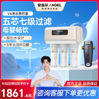安吉尔净水器家用直饮V6净饮机 1.46升/分钟净水机J2605-ROB60(A8)+J3217前置过滤器