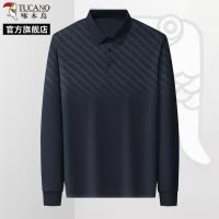 啄木鸟2025春季新款男士长袖t恤40-50岁中年爸爸装上衣父亲打底C